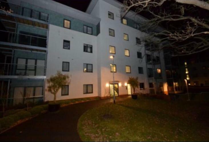 Executive Brentwood Apartment מראה חיצוני תמונה